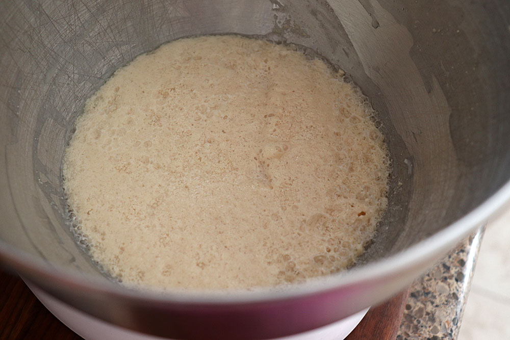 Active Bubbling yeast