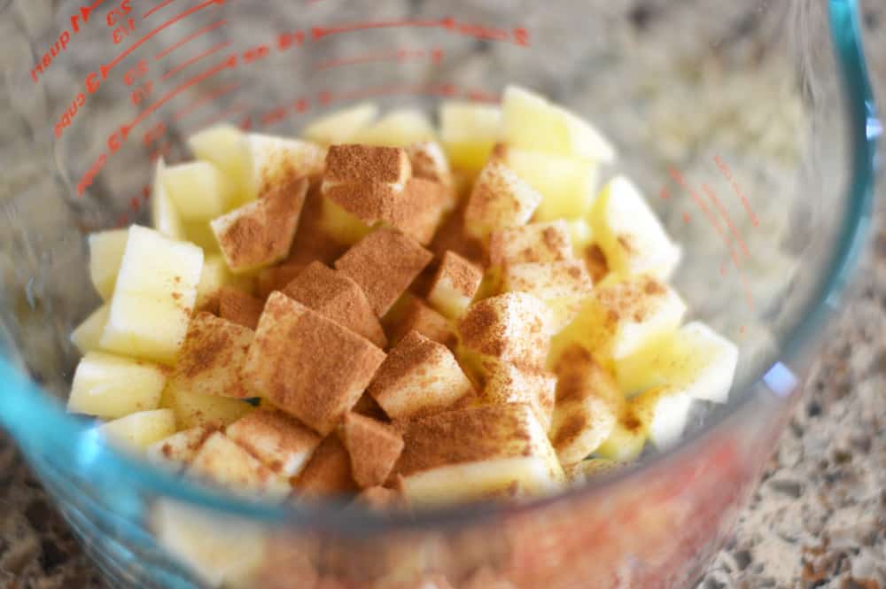 Tossing together the apples and cinnamon