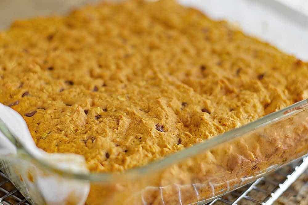 Vegan Pumpkin Chocolate Chip Oatmeal Bars