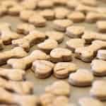 Peanut Butter Dog Treats