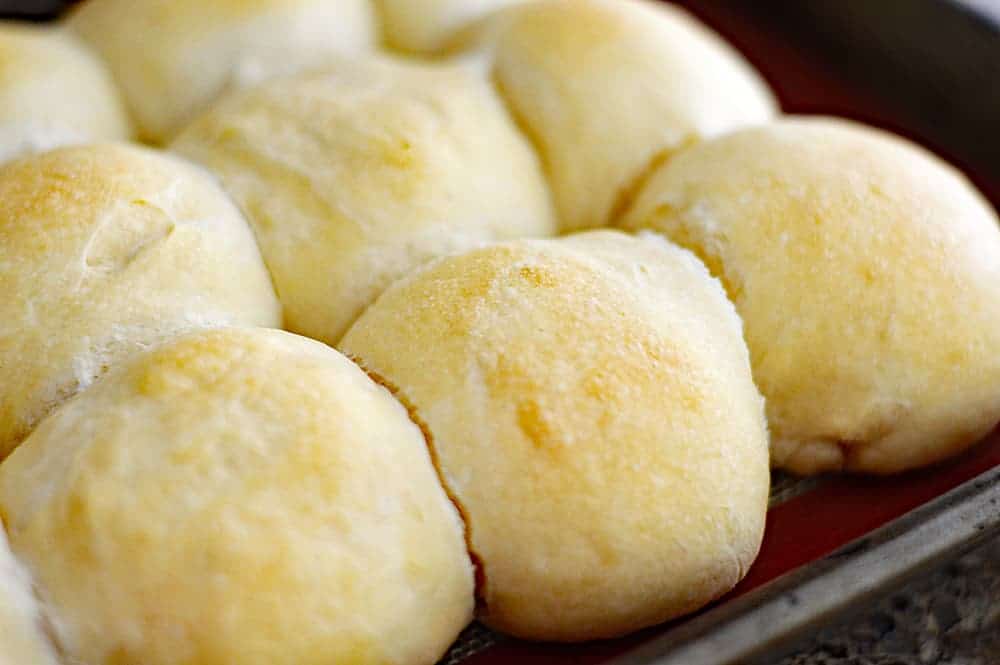 Easy Vegan Parker House Rolls