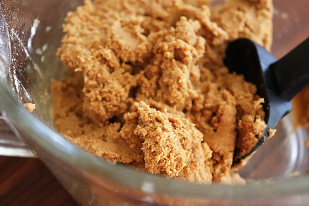 Gingerbread Dough