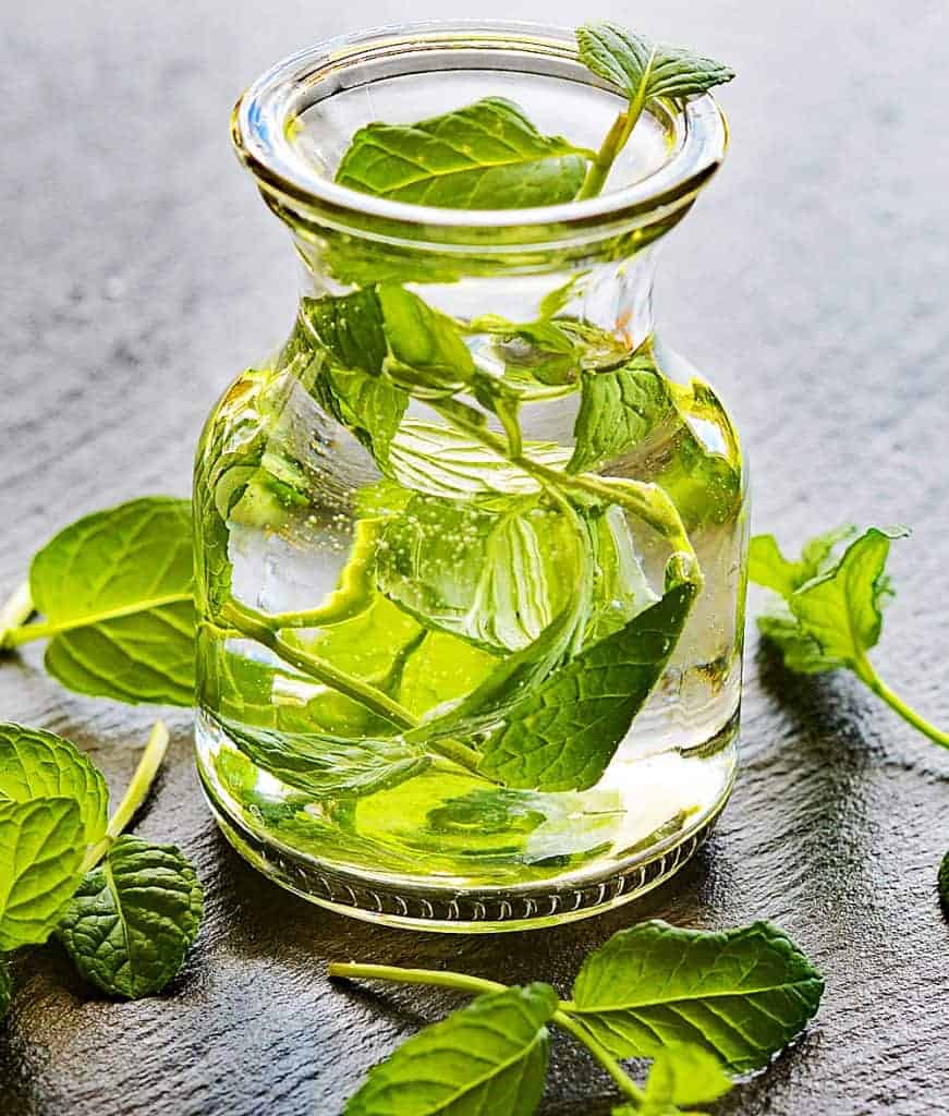 Mint Leaves Vegan Mint Chocolate Chip Ice Cream