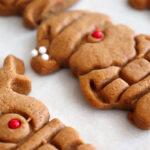 Vegan Gingerbread Cookies (That Won't Spread) Hero
