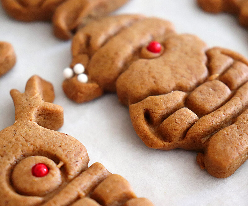 Vegan Gingerbread Cookies (That Won't Spread) Hero