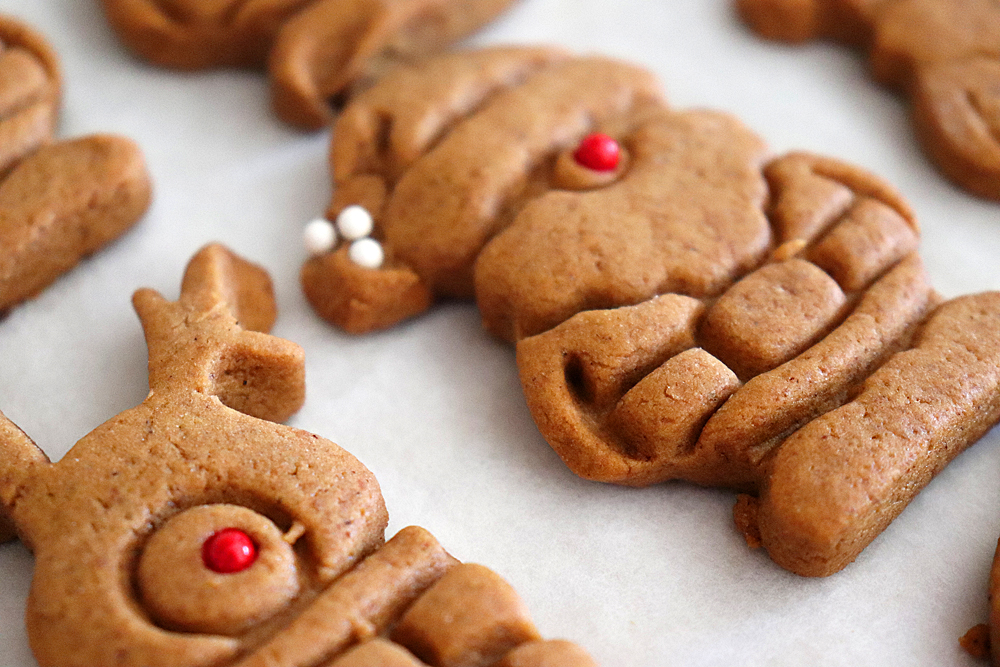 Vegan Gingerbread Cookies (That Won't Spread) Hero
