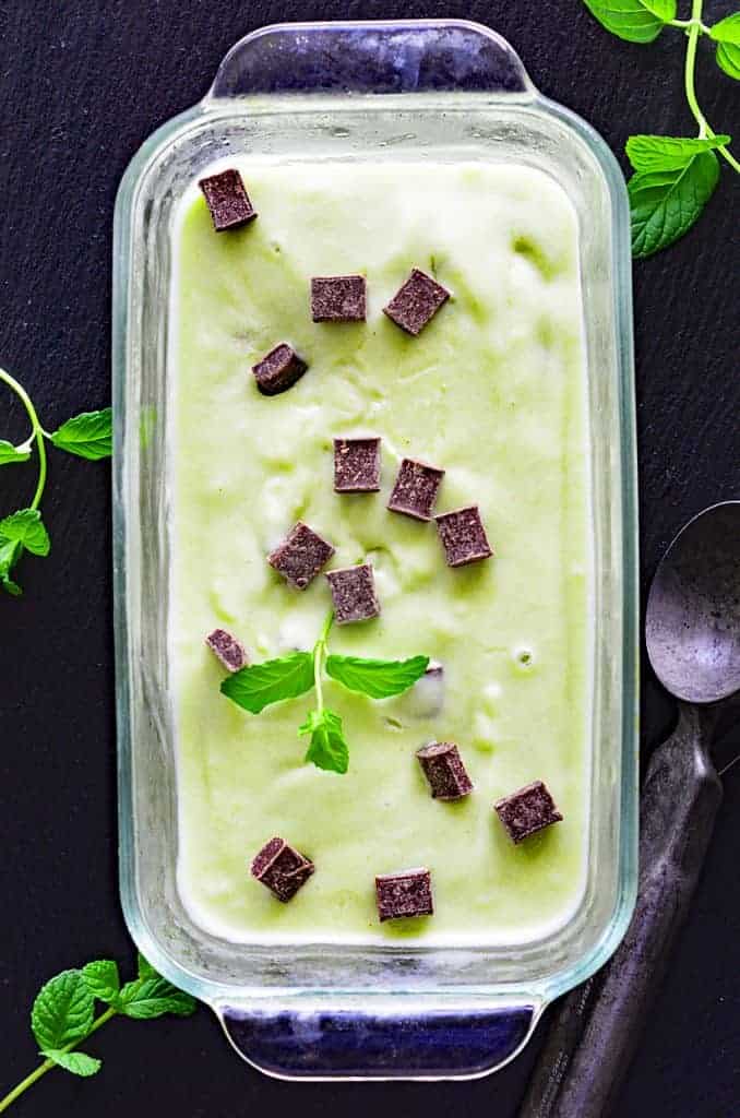 Overhead Vegan Mint Chocolate Chip Ice Cream