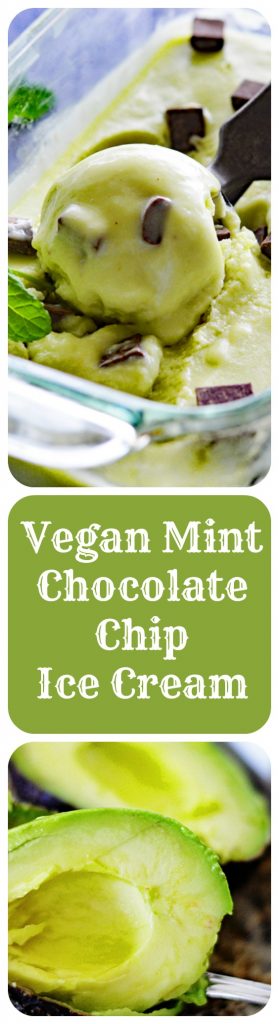 Vegan Mint Chocolate Chip Ice Cream