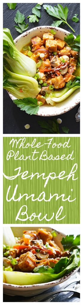 Vegan Tempeh Umami Bowl