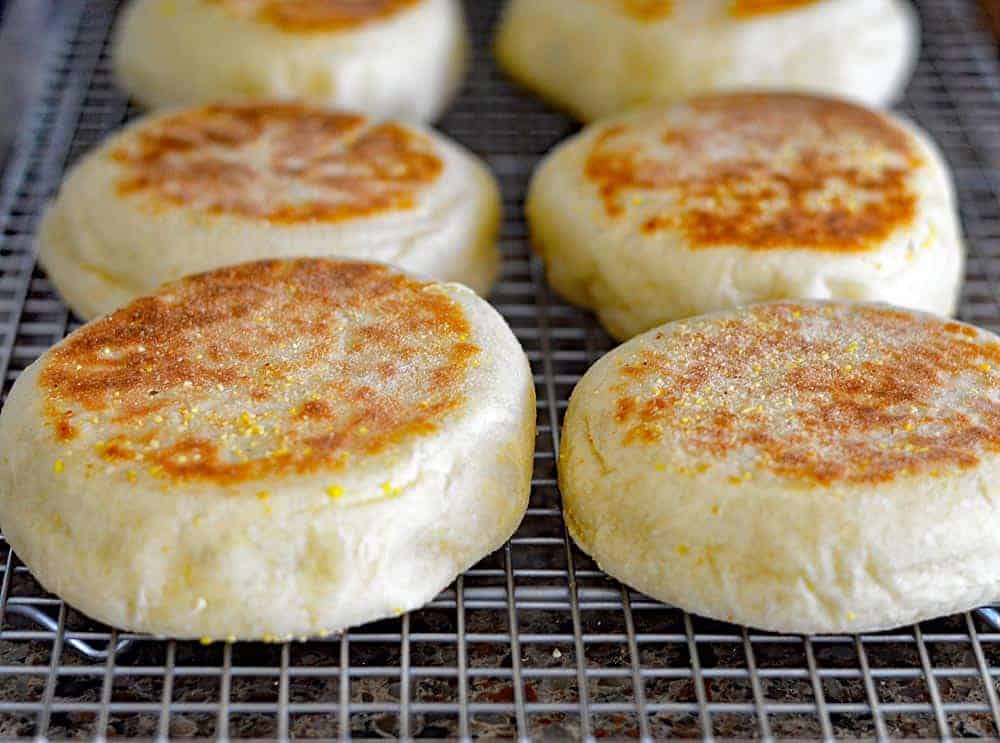 Homemade English Muffins {Vegan}