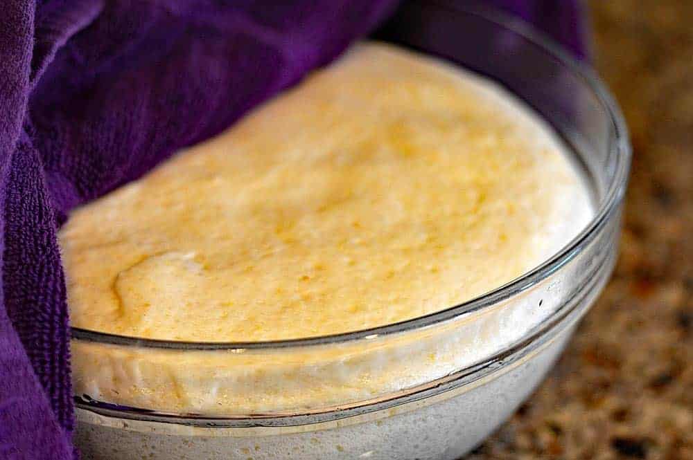 Homemade English Muffins {Vegan}