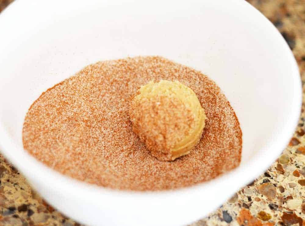 Soft and Chewy Vegan Snickerdoodle Cookies