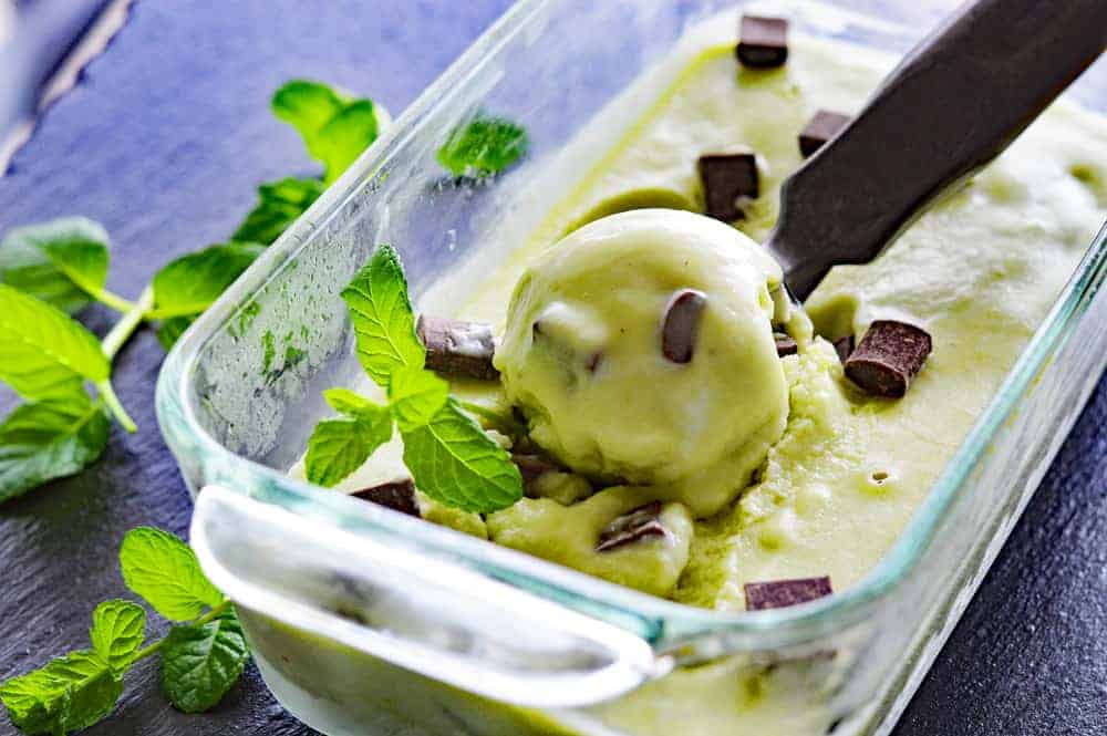 Scoop Photo Vegan Mint Chocolate Chip Ice Cream
