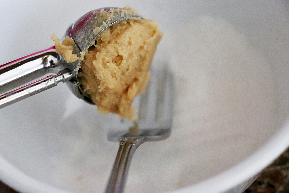 Scooped into sugar