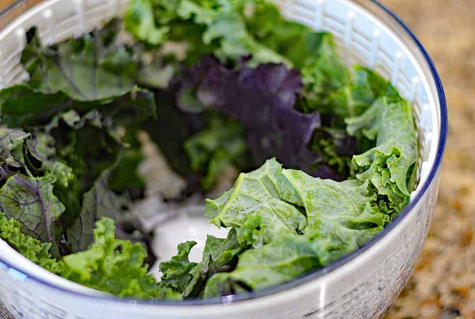 Kale spun dry in salad spinner basket