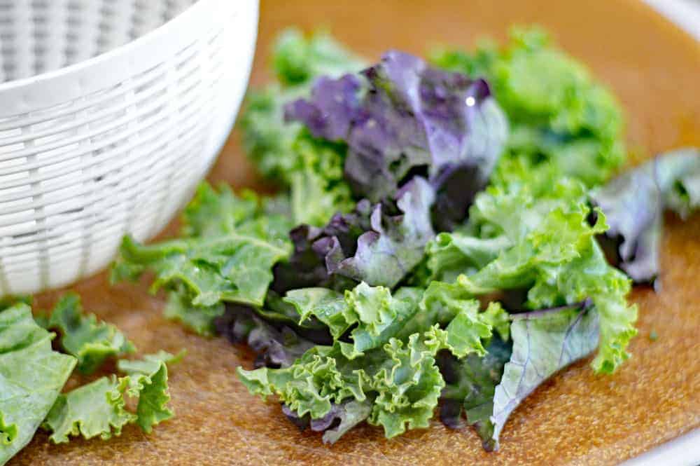 Torn kale in large pieces