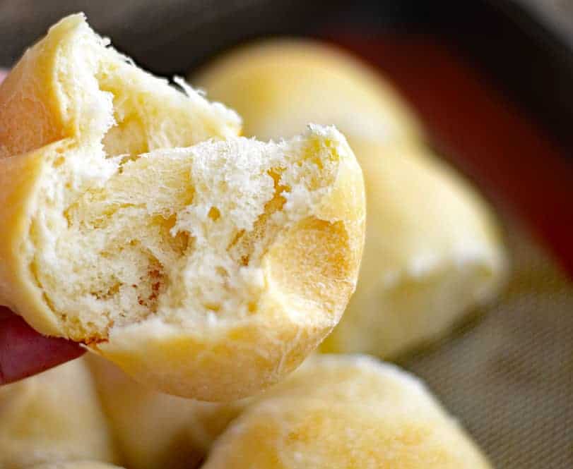 Easy Vegan Parker House Rolls