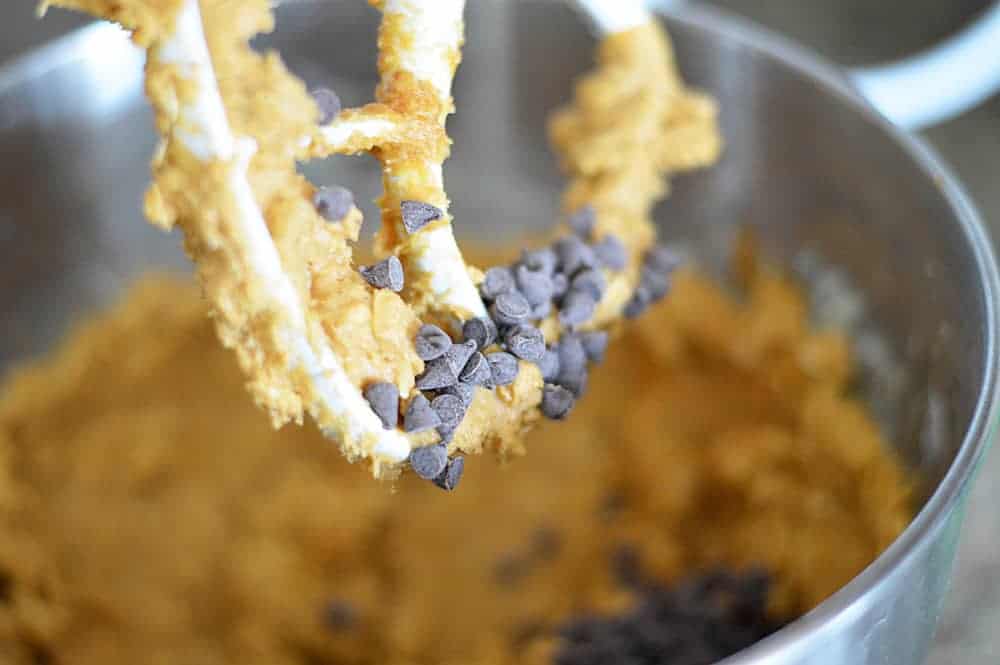 Vegan Pumpkin Chocolate Chip Oatmeal Bars