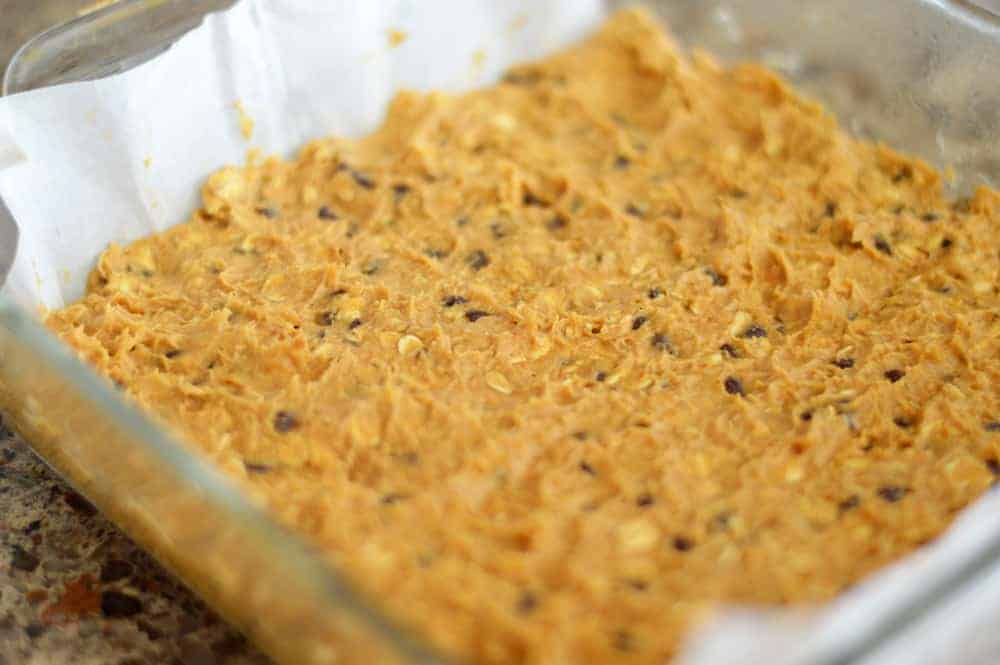Vegan Pumpkin Chocolate Chip Oatmeal Bars