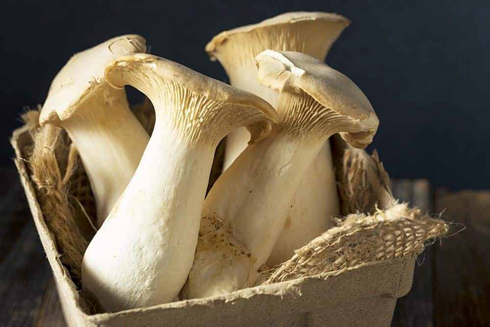 Vegan Maple Glazed King Oyster Mushroom "Scallops"